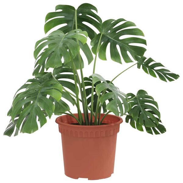 vidaXL Rund Blomsterpotte 24 pcs Klinker R&oslash;d &Oslash; 12,5 x 10 cm Plast