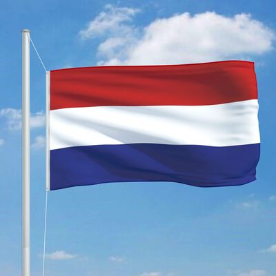 vidaXL Nederlandsk flagg og stang aluminium 6,2 m