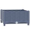 Blue_grey