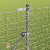 Miniatyrbilde av produktet 4 av 15