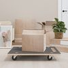 vidaXL Transporttraller 2 stk rektangul&aelig;r 80x55x11,5 cm 250 kg