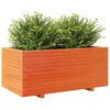 vidaXL Plantekasse voksbrun 110x60x49,5 cm heltre furu