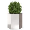 Miniatyrbilde av produktet 5 av 12