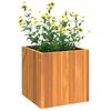 vidaXL Plantekasse 35x35x35 cm helte akasie