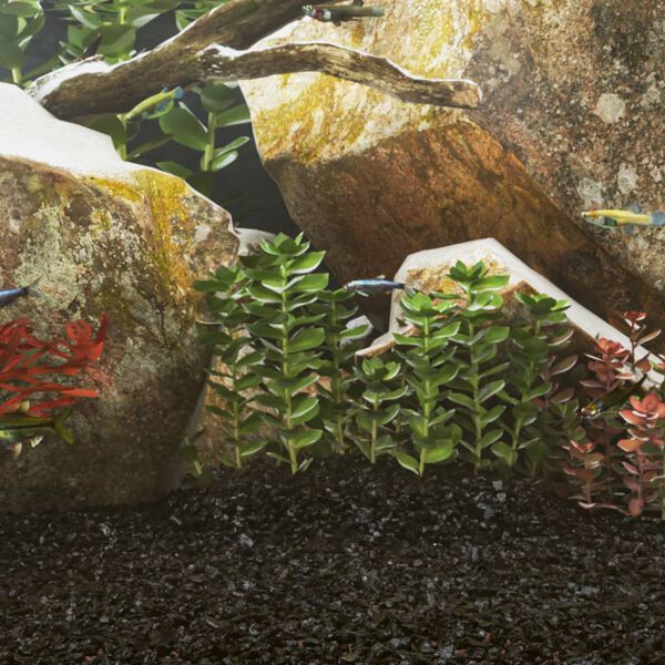 vidaXL Akvariesand 10 kg svart 0,2-2 mm