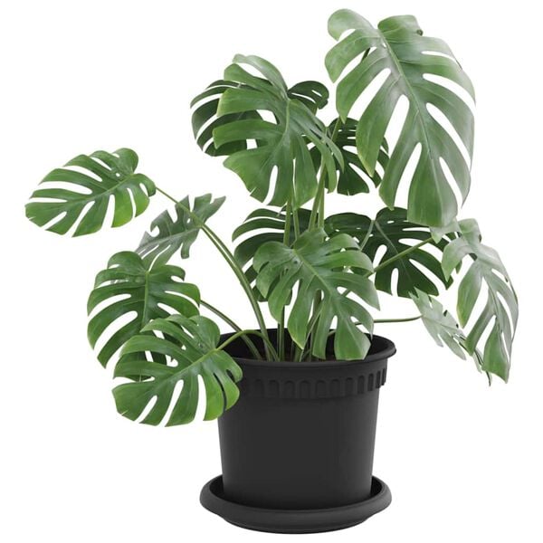 Viser 3 av 12 produktbilde(r)