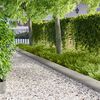 Miniatyrbilde av produktet 2 av 9