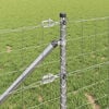Miniatyrbilde av produktet 4 av 16