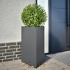 Miniatyrbilde av produktet 2 av 12