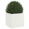 Miniatyrbilde av produktet 4 av 11