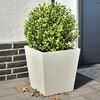 Miniatyrbilde av produktet 2 av 12