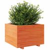 vidaXL Plantekasse voksbrun 70x70x49,5 cm heltre furu
