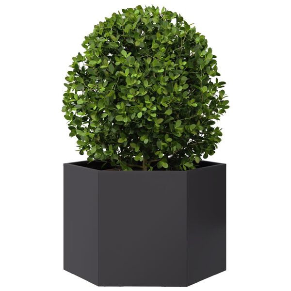 Viser 3 av 10 produktbilde(r)