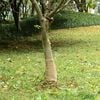 Miniatyrbilde av produktet 2 av 7