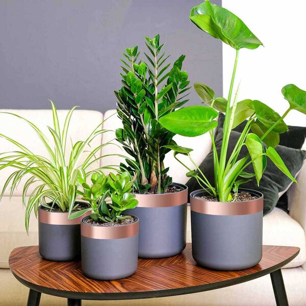 vidaXL Dobbeltsidig Kobber Tape Kobber 2000 x 5 cm Kobber