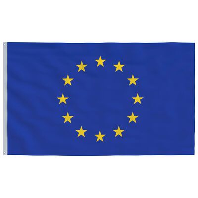 vidaXL Europeisk flagg og stang 6,23 m aluminium