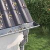 Miniatyrbilde av produktet 2 av 11