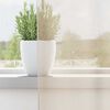 Miniatyrbilde av produktet 3 av 8