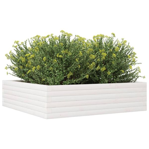 Viser 4 av 10 produktbilde(r)