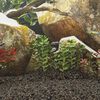 Miniatyrbilde av produktet 2 av 5