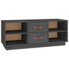 vidaXL TV-benk gr&aring; 100x34x40 cm heltre furu