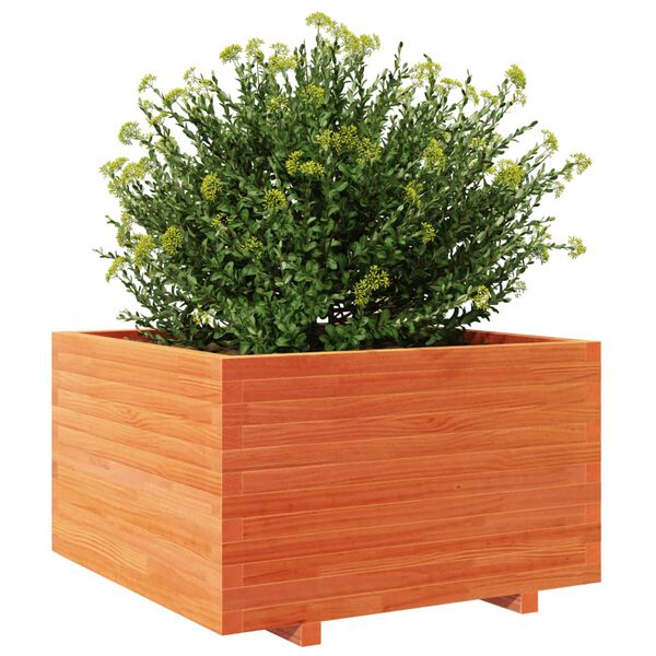 Viser 4 av 10 produktbilde(r)
