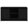 vidaXL TV Enheter Svart 100 x 34 x 50 cm Konstruert tre