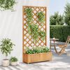 vidaXL Plantekasse med espalier brun heltre gran