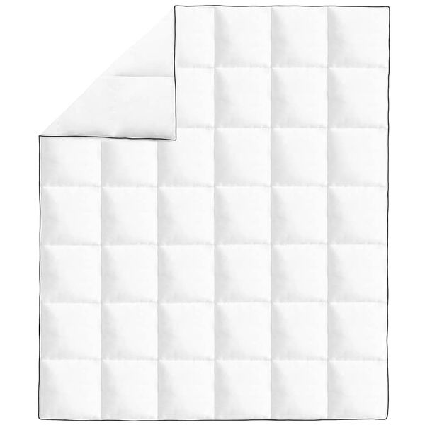 vidaXL Vinterdyne 200x220 cm