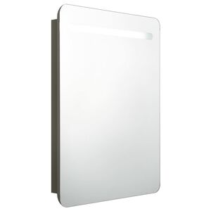 vidaXL LED-speilskap til bad antrasitt 60x11x80 cm