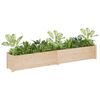 vidaXL Plantekasser 2 stk 200x31x31 cm heltre furu