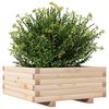 vidaXL Plantekasse 60x60x26,5 cm heltre furu