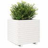 Miniatyrbilde av produktet 4 av 10