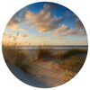 WallArt Tapetsirkel Beachlife 142,5 cm