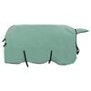 vidaXL Hestepledd Spesiell gr&oslash;nn 155 cm Polyester Fleece