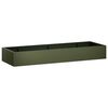 Olive_green