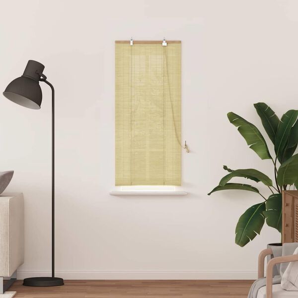vidaXL Rullegardin med gardiner Natur 60 x 160 cm Bambus