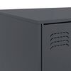 Miniatyrbilde av produktet 10 av 14