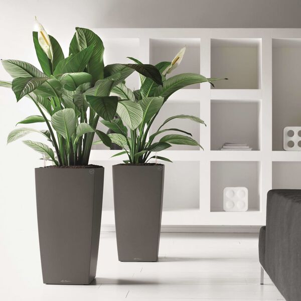 LECHUZA Plantekasse Cubico 30 ALL-IN-ONE høyglans trekull 18184