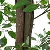 Miniatyrbilde av produktet 4 av 5