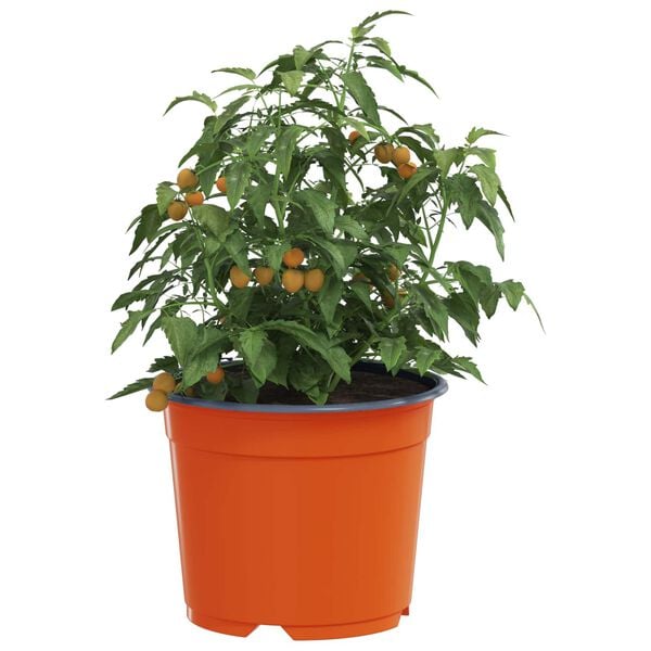 Viser 3 av 11 produktbilde(r)