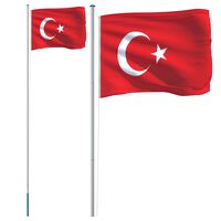 vidaXL Tyrkisk flagg og stang 6,23 m aluminium