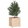 vidaXL Plantekasser 2 stk 40x40x40 cm heltre furu