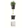 LECHUZA Urtekasser 3 stk Green Wall Home Kit hvit
