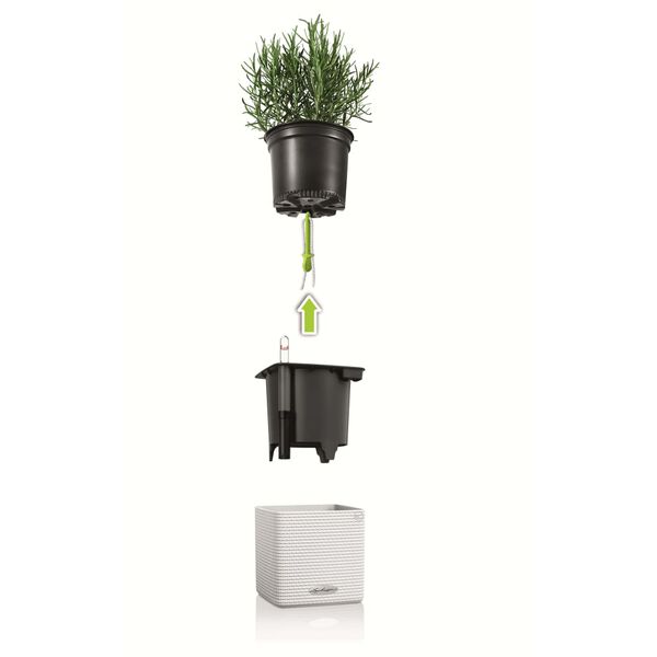 LECHUZA Urtekasser 3 stk Green Wall Home Kit hvit