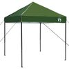 vidaXL Canopy telt grønn 194 x 194 x 251 cm stoff