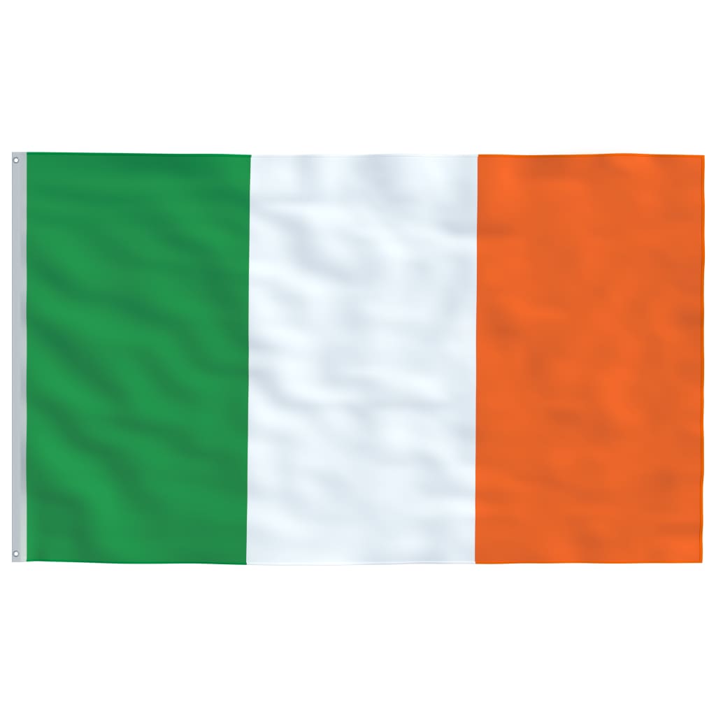 vidaXL Irsk flagg og stang 5,55 m aluminium