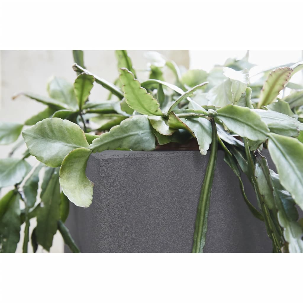 Capi Plantepotte Urban Smooth kvadratisk 30x30x30 cm mørkegrå