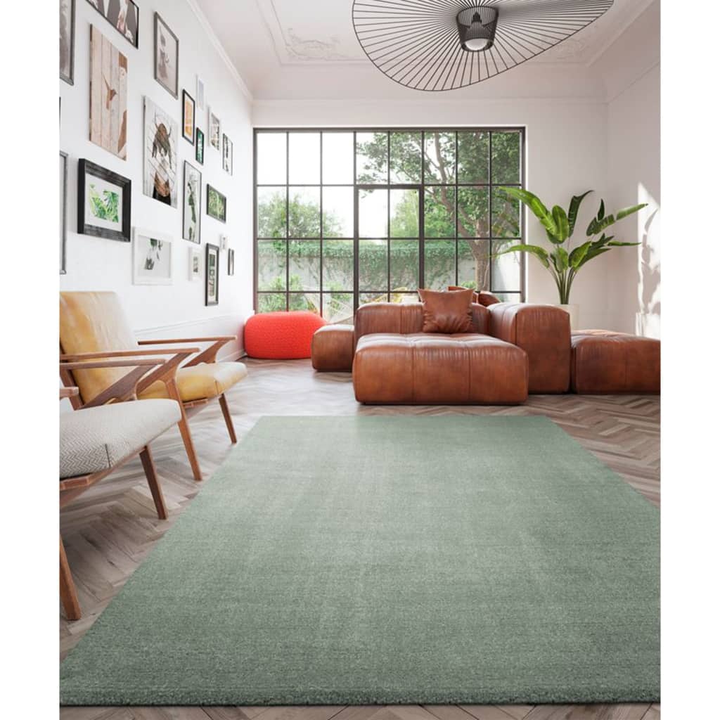 Dutch Lifestyle Teppe New York 290x200 cm grønn