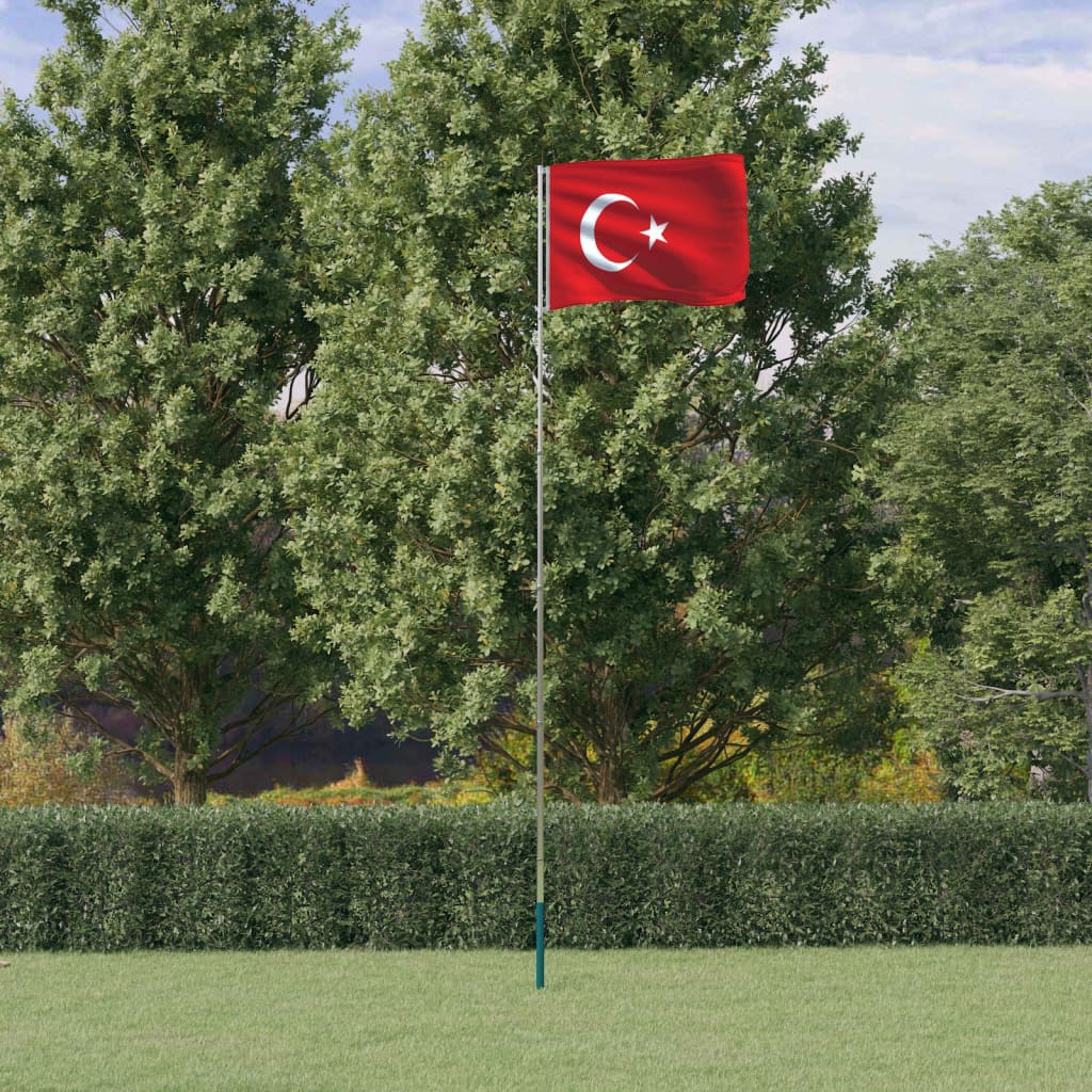 vidaXL Tyrkisk flagg og stang 5,55 m aluminium